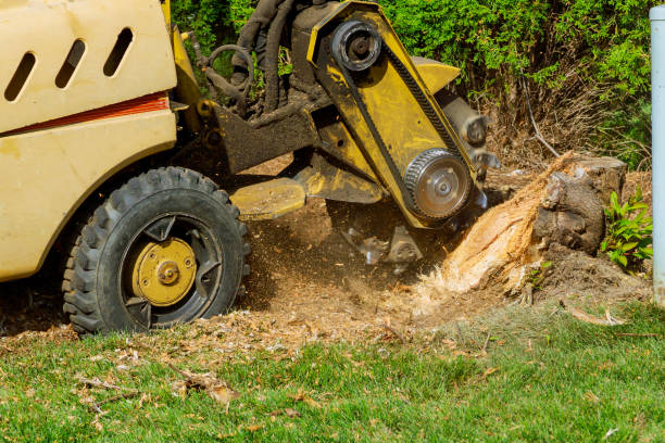 How Our Tree Care Process Works  in  Harrah, OK